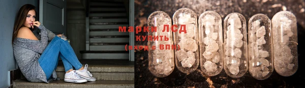 ПСИЛОЦИБИНОВЫЕ ГРИБЫ Армянск