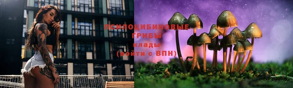 ПСИЛОЦИБИНОВЫЕ ГРИБЫ Армянск