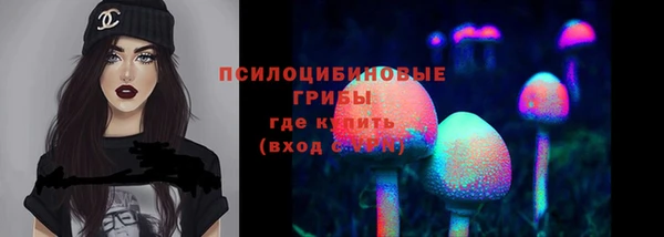 дурь Арсеньев