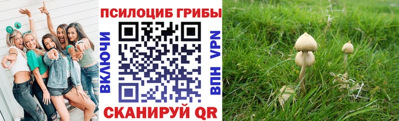 Галлюциногенные грибы мицелий Малоярославец